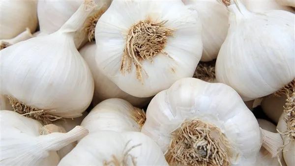 الثوم المحلي بـ60 جنيهاً.. أسعار الخضروات والفواكه في أسوان اليوم الثوم المحلي بـ60 جنيهاً.. أسعار الخضروات والفواكه في أسوان اليوم