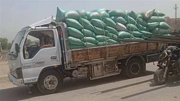 محافظ المنيا: صوامع وشون المحافظة تستقبل 299 ألف طن من القمح محافظ المنيا: صوامع وشون المحافظة تستقبل 299 ألف طن من القمح