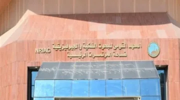 عاجل.. المعهد القومي للبحوث الفلكية يوضح سبب إحساس سكان القاهرة بالاهتزاز الأرضي