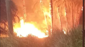 وفاة 3 أفراد جراء حريق في مستودع للخردة بالدقهلية