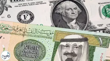 تحديث أسعار شراء وبيع الريال السعودي في البنوك المصرية يوم الثلاثاء 27 مايو 2025