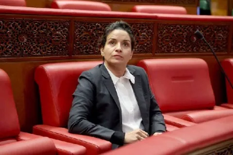 الرباط.. محادثات بين المغرب وتنزانيا لتعزيز الشراكة في مجال الطاقة