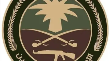 اعتقال 3 أشخاص لمخالفتهم نظام أمن الحدود بترويج الحشيش والأمفيتامين وأقراص طبية محظورة.