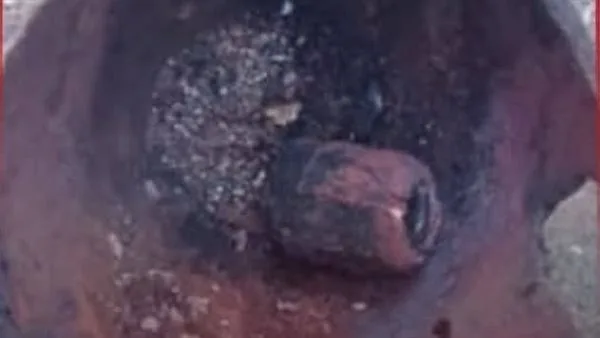 جسم غير متفجر من بقايا الحرب يتسبب في مقتل وإصابة 6 أفراد في شربين جسم غير متفجر من بقايا الحرب يتسبب في مقتل وإصابة 6 أفراد في شربين