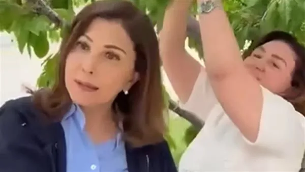 إلهام شاهين تروي مغامراتها في لبنان: سرقة الكرز وماجدة الرومي تستمتع به إلهام شاهين تروي مغامراتها في لبنان: سرقة الكرز وماجدة الرومي تستمتع به