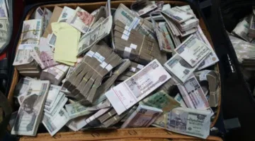 الداخلية تُلقي القبض على الشخص المتورط في تبييض 90 مليون جنيه من عائدات سوق المخدرات.