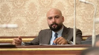 نائب من “لجنة الزراعة” يطالب بزيادة ميزانية مركز البحوث الزراعية وتخصيص الجزء الأكبر للأبحاث.