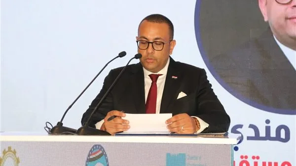قيادي في “مستقبل وطن”: مزايا ضريبية جديدة تسهم في دعم الممولين