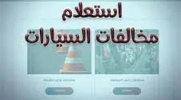 مجانيًا.. كيفية الاستفسار عن مخالفات المرور باستخدام رقم السيارة 2025 ودفعها إلكترونيًا