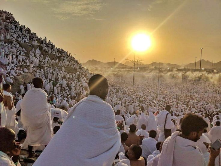 تفسير حلم الحج لشخص آخر للحامل