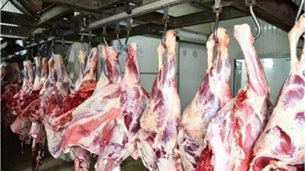 الغردقة تحدد متطلبات لإنشاء حظائر وأماكن بيعها.. تعرف على التفاصيل الغردقة تحدد متطلبات لإنشاء حظائر وأماكن بيعها.. تعرف على التفاصيل