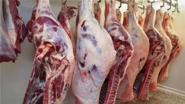 أسعار اللحوم الحمراء في الوادي الجديد مع اقتراب عيد الأضحى المبارك أسعار اللحوم الحمراء في الوادي الجديد مع اقتراب عيد الأضحى المبارك