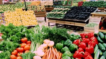 غرفة الصناعات الغذائية تتناول صعوبات تعزيز صادرات الفواكه والخضروات