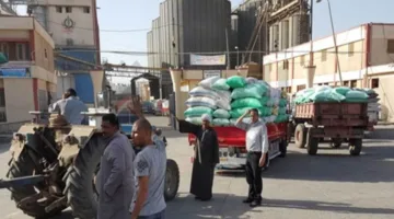 توفير 95 ألف طن من القمح في محافظة الغربية
