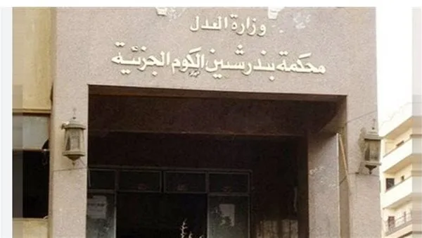 إدخال الأم المشتبه بها في قتل طفلها إلى مستشفى للأمراض النفسية في المنوفية إدخال الأم المشتبه بها في قتل طفلها إلى مستشفى للأمراض النفسية في المنوفية