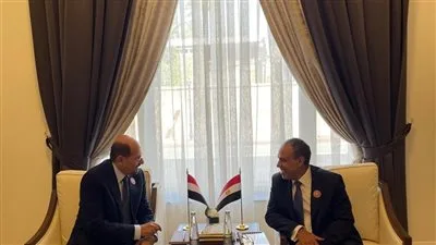 وزير الخارجية: استقرار اليمن يعزز الأمن الإقليمي في منطقة البحر الأحمر