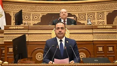 رئيس لجنة الشباب في البرلمان: مصر حافظت على دورها كصوت قوي يعبر عن تطلعات شعوب الجنوب في الأمم المتحدة رئيس لجنة الشباب في البرلمان: مصر حافظت على دورها كصوت قوي يعبر عن تطلعات شعوب الجنوب في الأمم المتحدة