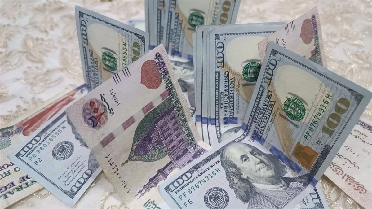 سعر الدولار 