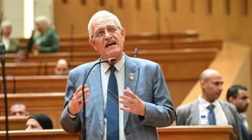 نائبة التجمع: أؤيد قانون مجلس الشيوخ بسبب ضيق الوقت.. والنظام النسبي الأنسب لمصر
