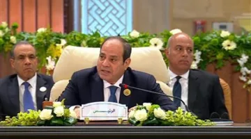 الرئيس السيسي: الآلة العسكرية الإسرائيلية لم تترك شيئًا دون استهدافه، بما في ذلك كبار السن.