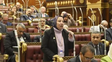 النائبة حياة خطاب: مشاركة الرئيس السيسي في “قمّة بغداد” تُظهر مكانة مصر والتزامها بتعزيز الوحدة العربية.