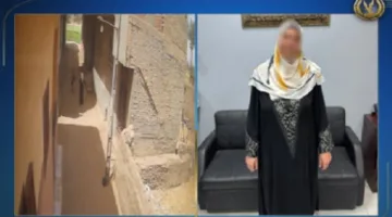 وزارة الداخلية توضح تفاصيل محاولة اختطاف طفل في السنبلاوين بمحافظة الدقهلية