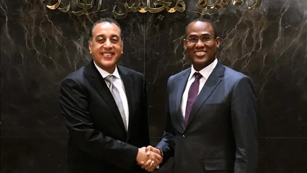 نائب مدير صندوق النقد الدولي: متفائل بشأن إمكانية تحقيق الاقتصاد المصري لنتائج إيجابية في المستقبل نائب مدير صندوق النقد الدولي: متفائل بشأن إمكانية تحقيق الاقتصاد المصري لنتائج إيجابية في المستقبل