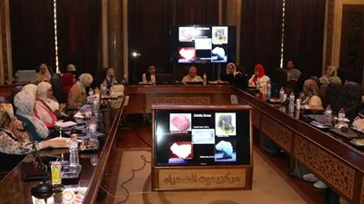 «دراسات الصحراء»: مشروع لتقييم تأثيرات التغير المناخي يهدف لإنشاء خريطة وطنية لمخاطر الفيضانات في مصر.