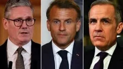 أستاذ العلوم السياسية: تعليق بريطانيا للتبادل التجاري مع الاحتلال يبرز حقائق جديدة للعالم. أستاذ العلوم السياسية: تعليق بريطانيا للتبادل التجاري مع الاحتلال يبرز حقائق جديدة للعالم.