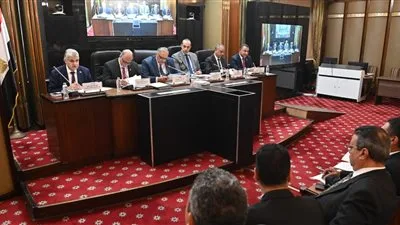 القصبي: إعادة توزيع الدوائر ترتكز على قواعد حسابية دقيقة لا تحتمل الخطأ القصبي: إعادة توزيع الدوائر ترتكز على قواعد حسابية دقيقة لا تحتمل الخطأ