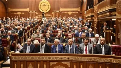 وكيل لجنة الشؤون التشريعية بمجلس الشيوخ يقدم تقريراً حول تعديل قانون انتخابات الغرفة الثانية لعام 2025.