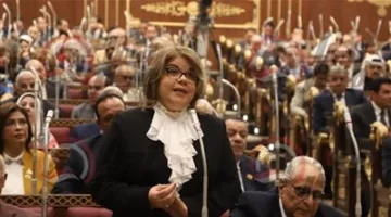 نائبة رئيس مجلس الشيوخ تؤكد: التعديلات الجديدة على الانتخابات تعزز التمثيل العادل وتساهم في الاستقرار الوطني.