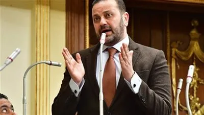 النائب أحمد الشرقاوي ينتقد قوانين الانتخابات: لم نحقق تقدمًا في الحوار الوطني. النائب أحمد الشرقاوي ينتقد قوانين الانتخابات: لم نحقق تقدمًا في الحوار الوطني.