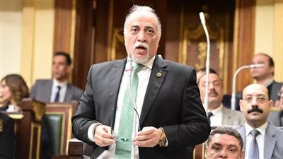 النائب عبد الهادي القصبي: النظام النسبي يتيح الفرصة لتمثيل بعض الجهات التي عانت منها الدولة المصرية.