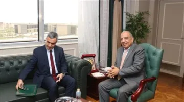 الكهرباء: توسيع مجالات التعاون والاستفادة من خبرات الشركات المصرية في تحديث الشبكات وبناء محطات التحويل