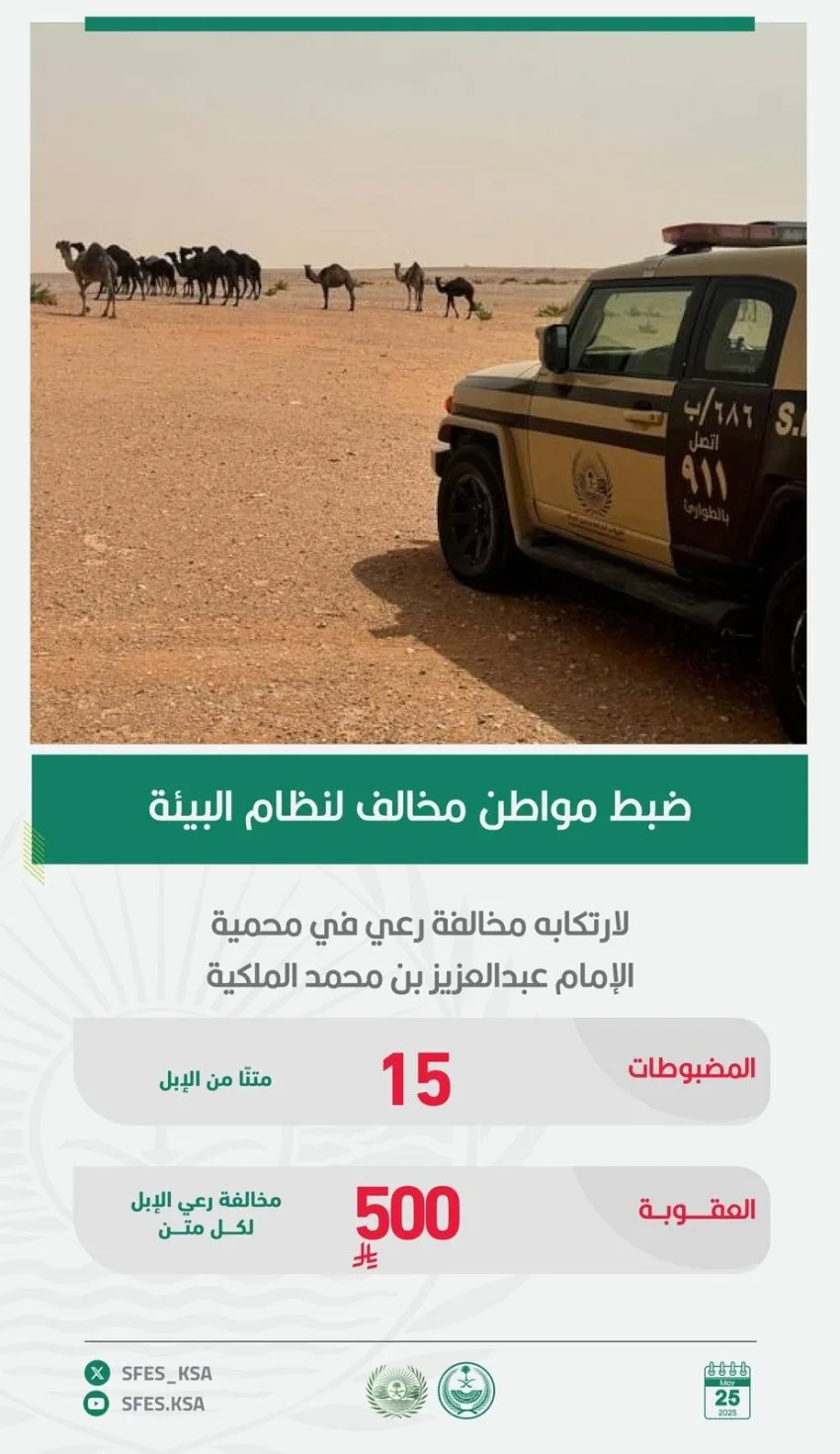 إلقاء القبض على مواطن انتهك قوانين البيئة من خلال الرعي في محمية.