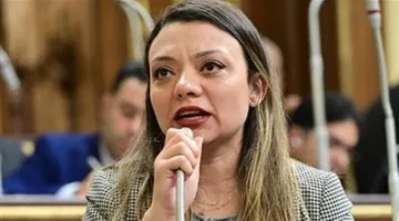 نائبة التنسيقية مي كرم جبر تؤيد مشروع قانون تنظيم خدمات مياه الشرب والصرف الصحي.. وتدعو لتحسين جودة واستمرارية الخدمات.