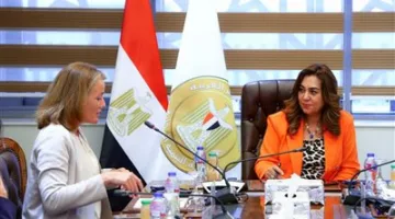 وزيرة التنمية: مشروعات تنمية الصعيد في 4 محافظات تصل قيمتها إلى 8.2 مليون طن، مع جهود لتحسين بيئة الأعمال في المناطق الصناعية.