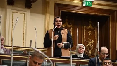 نائبة التنسيقية هيام الطباخ: المواطن المصري يستحق التقدير، وأدعم مشروع قانون العلاوة الدورية لتعزيز العدالة الاجتماعية.