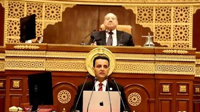 النائب أحمد سمير: إسرائيل تتجه نحو التصرفات الجنونية.. وبيان الخارجية يوجه رسالة للضمير العالمي.