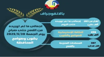 نقل أكثر من 287 ألف طن من القمح إلى مستودعات وصوامع البحيرة