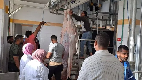 “الهيئة البيطرية” تعلن عن تحديث 8 مجازر في 5 محافظات “الهيئة البيطرية” تعلن عن تحديث 8 مجازر في 5 محافظات