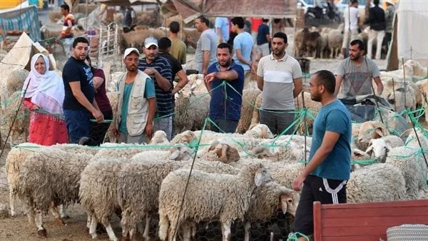 استكشف تاريخ عيد الأضحى 2025 في فلسطين استكشف تاريخ عيد الأضحى 2025 في فلسطين