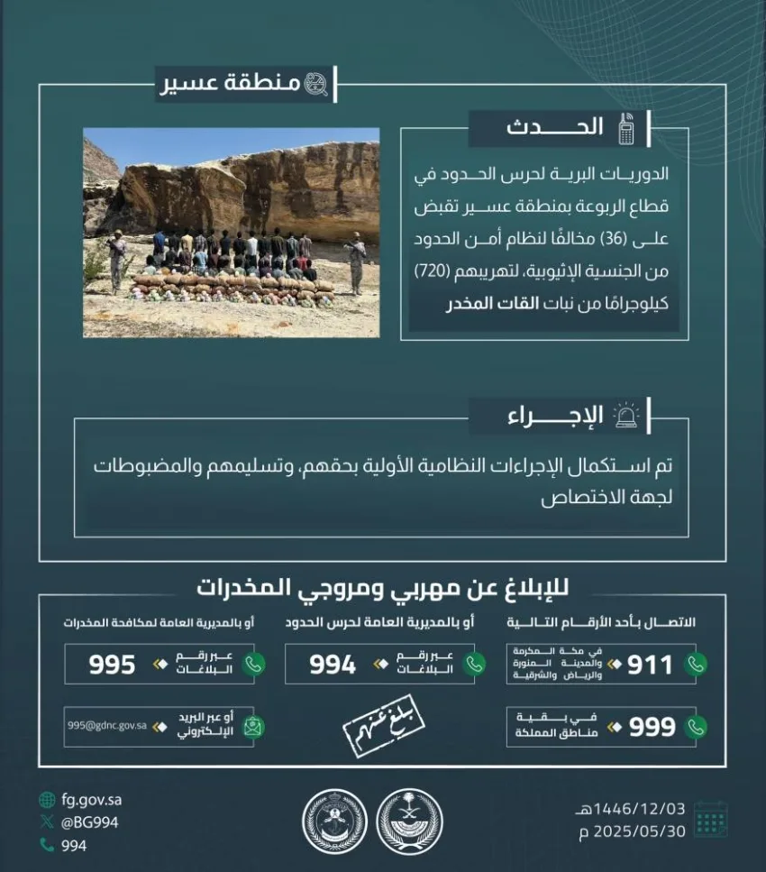 إلقاء القبض على 36 شخصًا لتهريبهم 720 كجم من القات في الربوعة إلقاء القبض على 36 شخصًا لتهريبهم 720 كجم من القات في الربوعة
