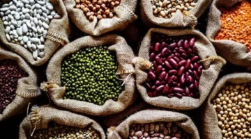 أسعار البقوليات في محافظة الغربية بتاريخ السبت 31 مايو 2025