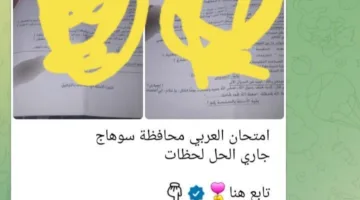 تبادل أسئلة امتحان اللغة العربية لشهادة الإعدادية في القاهرة والجيزة