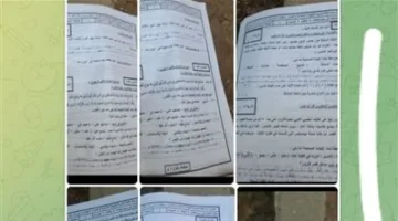 أسئلة وأجوبة امتحان اللغة العربية للشهادة الإعدادية في محافظة الفيوم عبر تيليجرام