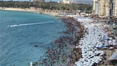 بعد العاصفة المروعة.. عالم فضاء مصري: إسكندرية بالفعل تغرق.. وليس علينا الانتظار لرؤية المستقبل. بعد العاصفة المروعة.. عالم فضاء مصري: إسكندرية بالفعل تغرق.. وليس علينا الانتظار لرؤية المستقبل.