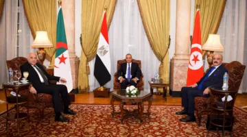 بيان مشترك من مصر وتونس والجزائر بشأن مستجدات الوضع في ليبيا