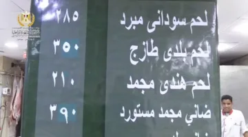 بيع الخراف الحية في 9 نقاط بسعر 225 جنيهًا للكيلو عبر وزارة التموين